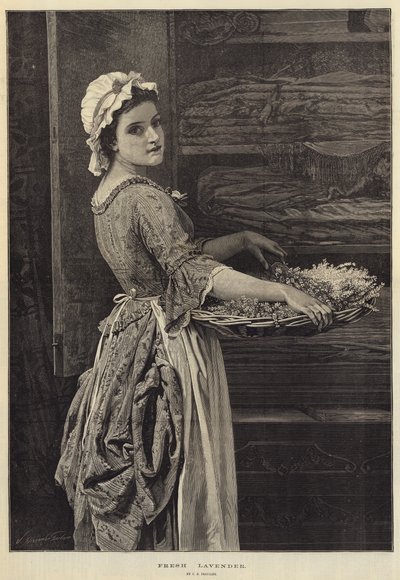 フレッシュラベンダー 作： Charles Edward Perugini